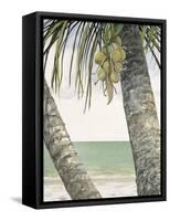 Seaside Coconuts-Arnie Fisk-Framed Stretched Canvas