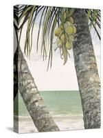 Seaside Coconuts-Arnie Fisk-Stretched Canvas