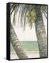 Seaside Coconuts-Arnie Fisk-Framed Stretched Canvas