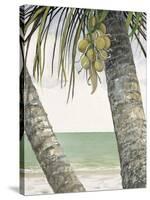 Seaside Coconuts-Arnie Fisk-Stretched Canvas