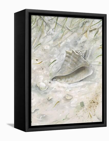 Seaside Conch -Arnie Fisk-Framed Stretched Canvas