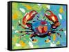 Seaside Crab I-Carolee Vitaletti-Framed Stretched Canvas