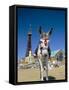 Seaside Donkey on Beach with Blackpool Tower Behind, Blackpool, Lancashire, England-Steve & Ann Toon-Framed Stretched Canvas