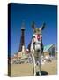 Seaside Donkey on Beach with Blackpool Tower Behind, Blackpool, Lancashire, England-Steve & Ann Toon-Stretched Canvas