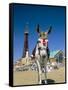 Seaside Donkey on Beach with Blackpool Tower Behind, Blackpool, Lancashire, England-Steve & Ann Toon-Framed Stretched Canvas