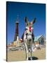 Seaside Donkey on Beach with Blackpool Tower Behind, Blackpool, Lancashire, England-Steve & Ann Toon-Stretched Canvas