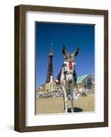 Seaside Donkey on Beach with Blackpool Tower Behind, Blackpool, Lancashire, England-Steve & Ann Toon-Framed Photographic Print