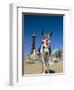 Seaside Donkey on Beach with Blackpool Tower Behind, Blackpool, Lancashire, England-Steve & Ann Toon-Framed Photographic Print