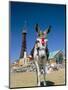 Seaside Donkey on Beach with Blackpool Tower Behind, Blackpool, Lancashire, England-Steve & Ann Toon-Mounted Photographic Print