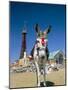 Seaside Donkey on Beach with Blackpool Tower Behind, Blackpool, Lancashire, England-Steve & Ann Toon-Mounted Photographic Print