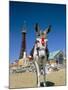 Seaside Donkey on Beach with Blackpool Tower Behind, Blackpool, Lancashire, England-Steve & Ann Toon-Mounted Photographic Print