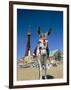 Seaside Donkey on Beach with Blackpool Tower Behind, Blackpool, Lancashire, England-Steve & Ann Toon-Framed Photographic Print