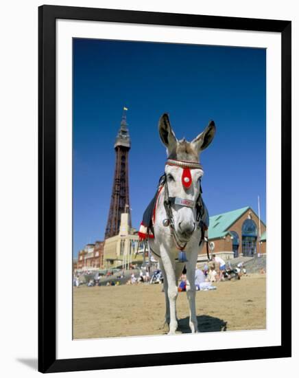 Seaside Donkey on Beach with Blackpool Tower Behind, Blackpool, Lancashire, England-Steve & Ann Toon-Framed Photographic Print