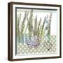 Seaside Dot - Scallop-Robbin Rawlings-Framed Art Print