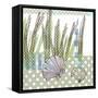 Seaside Dot - Scallop-Robbin Rawlings-Framed Stretched Canvas