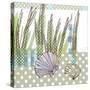 Seaside Dot - Scallop-Robbin Rawlings-Stretched Canvas