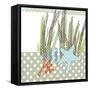 Seaside Dot - Shell-Robbin Rawlings-Framed Stretched Canvas