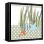 Seaside Dot - Shell-Robbin Rawlings-Framed Stretched Canvas