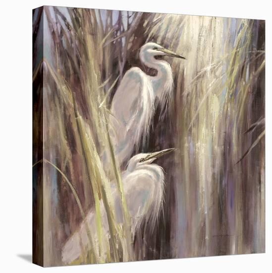 Seaside Egrets-Brent Heighton-Stretched Canvas