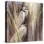 Seaside Egrets-Brent Heighton-Stretched Canvas