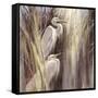 Seaside Egrets-Brent Heighton-Framed Stretched Canvas