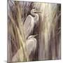 Seaside Egrets-Brent Heighton-Mounted Giclee Print