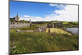 Seaside Fort, Kinsale, Ireland-George Oze-Mounted Premium Photographic Print