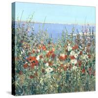 Seaside Garden I-Tim OToole-Stretched Canvas