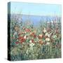 Seaside Garden I-Tim OToole-Stretched Canvas