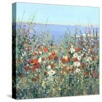 Seaside Garden I-Tim OToole-Stretched Canvas