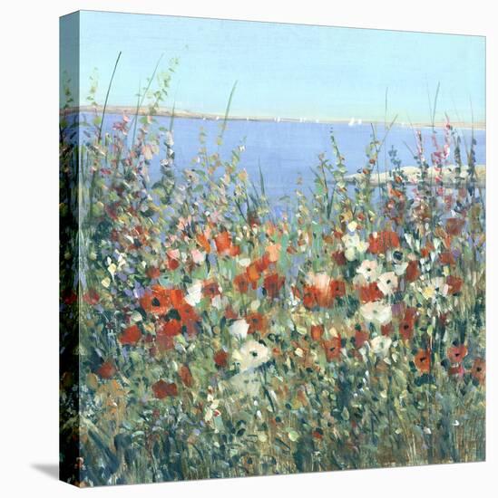 Seaside Garden I-Tim OToole-Stretched Canvas