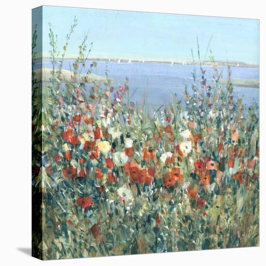 Seaside Garden II-Tim OToole-Stretched Canvas