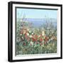 Seaside Garden II-Tim OToole-Framed Art Print