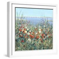 Seaside Garden II-Tim OToole-Framed Art Print