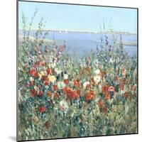 Seaside Garden II-Tim OToole-Mounted Art Print