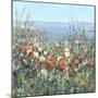 Seaside Garden II-Tim OToole-Mounted Art Print