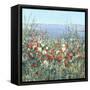Seaside Garden II-Tim OToole-Framed Stretched Canvas