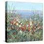 Seaside Garden II-Tim OToole-Stretched Canvas