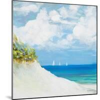 Seaside I-Dan Meneely-Mounted Premium Giclee Print