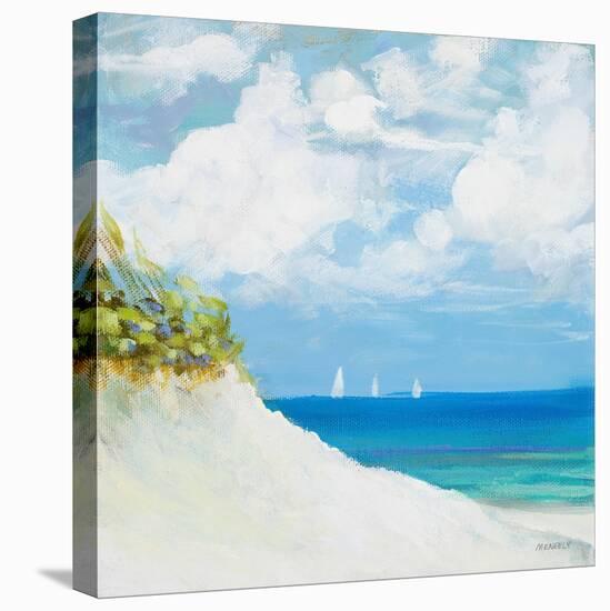 Seaside I-Dan Meneely-Stretched Canvas