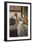 Seaside; La Reverie-James Tissot-Framed Giclee Print