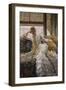 Seaside; La Reverie-James Tissot-Framed Giclee Print