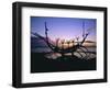 Seaside Monument at Sunset, Reykjavik, Iceland-Christian Kober-Framed Photographic Print