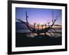 Seaside Monument at Sunset, Reykjavik, Iceland-Christian Kober-Framed Photographic Print