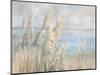 Seaside Pampas Grass-Danhui Nai-Mounted Art Print