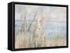 Seaside Pampas Grass-Danhui Nai-Framed Stretched Canvas