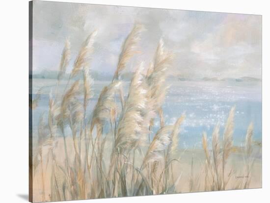 Seaside Pampas Grass-Danhui Nai-Stretched Canvas