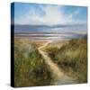 Seaside Path-Michael J^ Sanders-Stretched Canvas