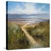 Seaside Path-Michael J^ Sanders-Stretched Canvas