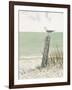 Seaside Perch-Arnie Fisk-Framed Art Print